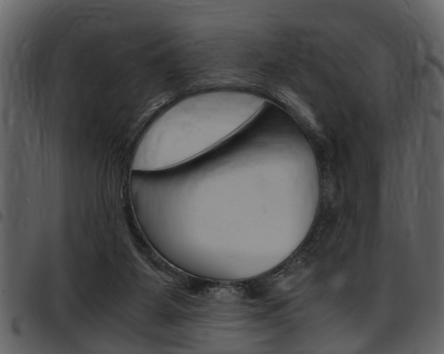 X0000097640115200802290832