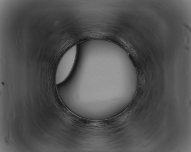 X0000097640117200802290832