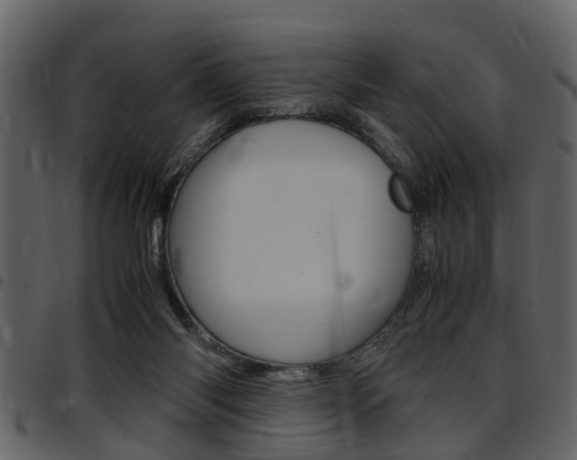 X0000097640118200802290832