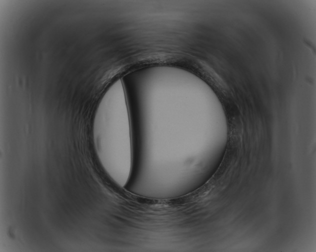 X0000097640119200802290832