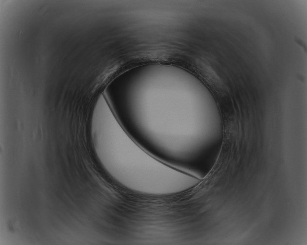 X0000097640120200802290832
