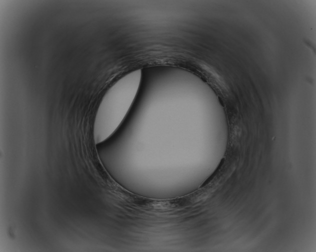 X0000097640121200802290832