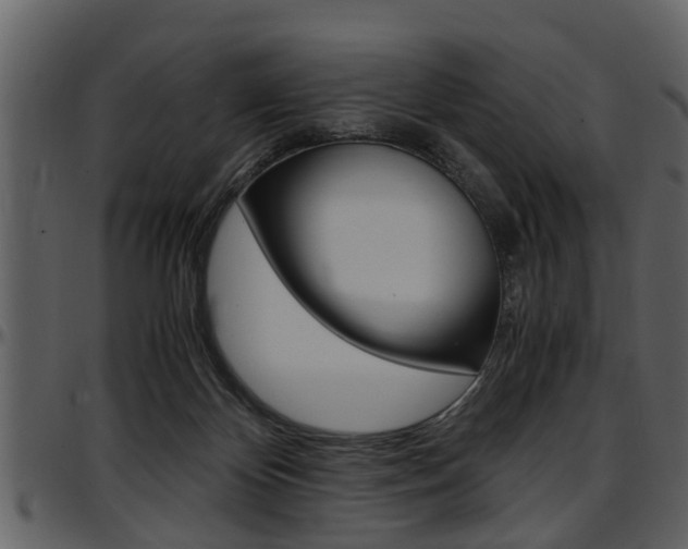 X0000097640124200802290832