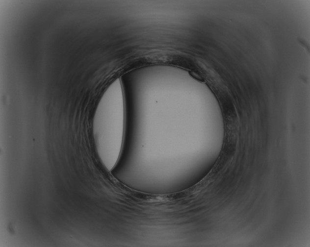 X0000097640125200802290832