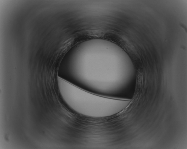 X0000097640128200802290832