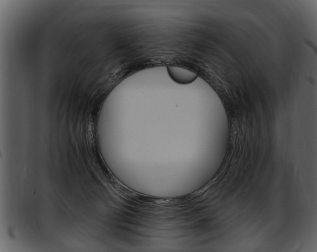 X0000097640130200802290832