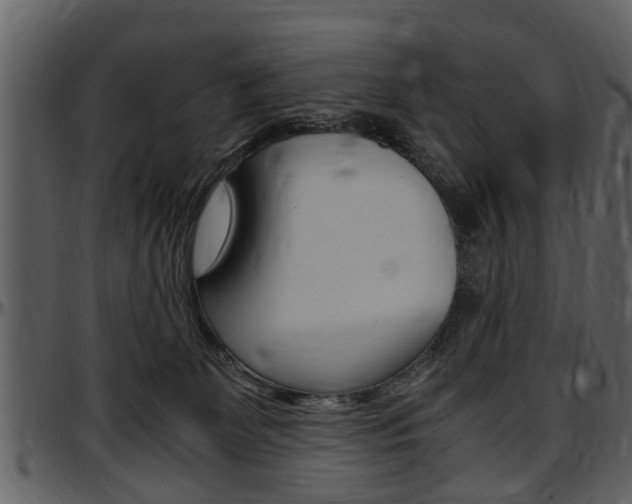 X0000097640131200802290832