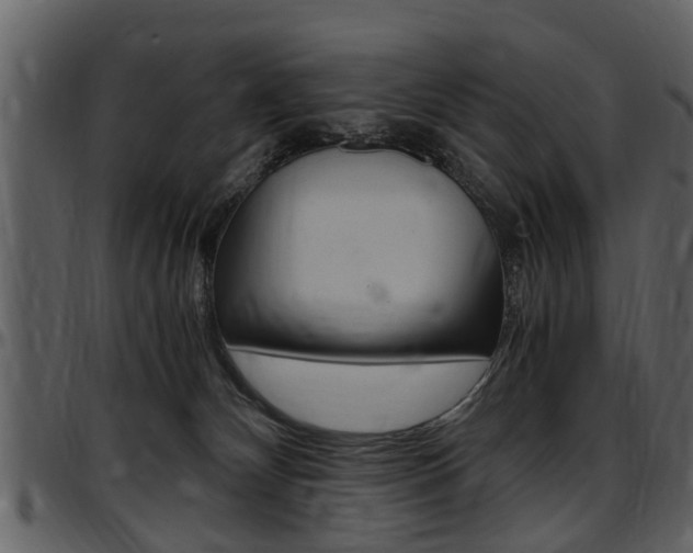X0000097640132200802290831