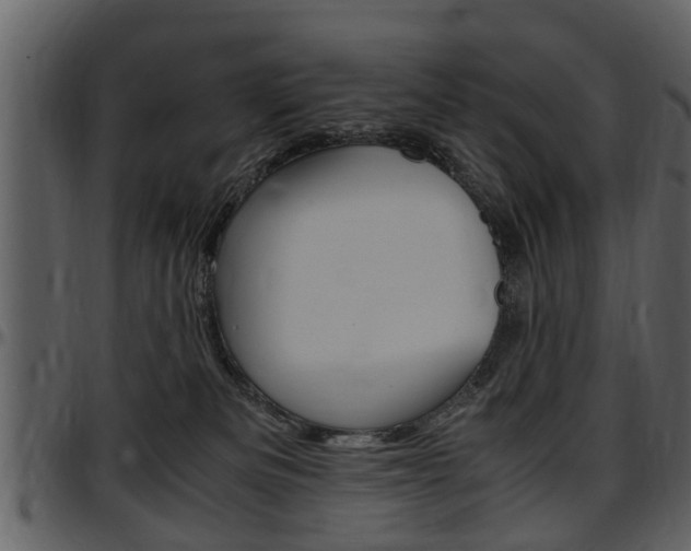 X0000097640133200802290831