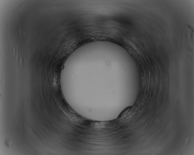 X0000097640134200802290831