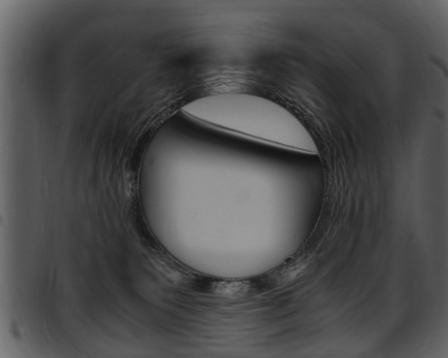 X0000097640135200802290831