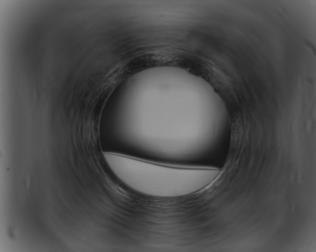 X0000097640136200802290831