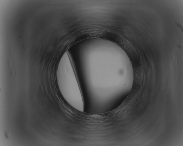 X0000097640137200802290831