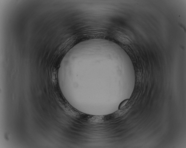 X0000097640138200802290831