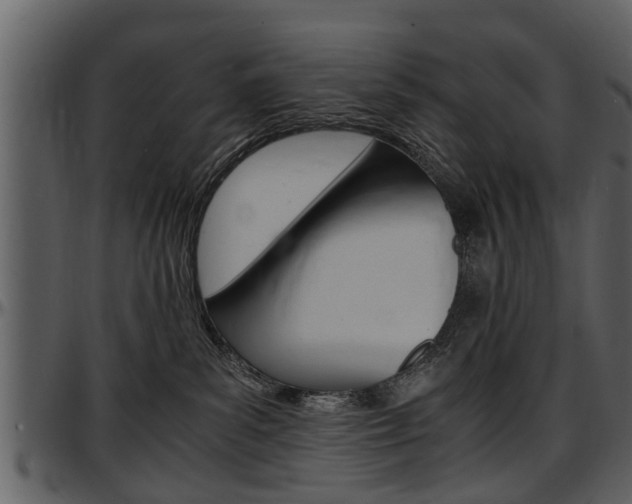 X0000097640139200802290831