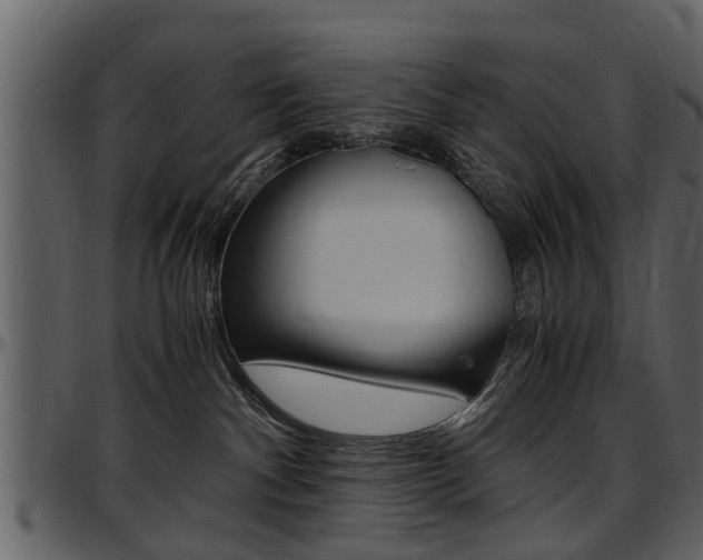 X0000097640140200802290831
