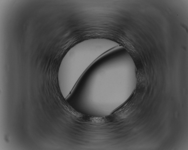 X0000097640141200802290831