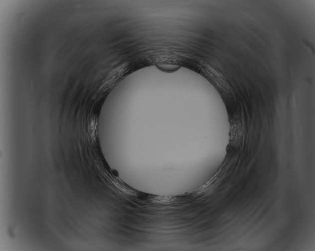 X0000097640142200802290831