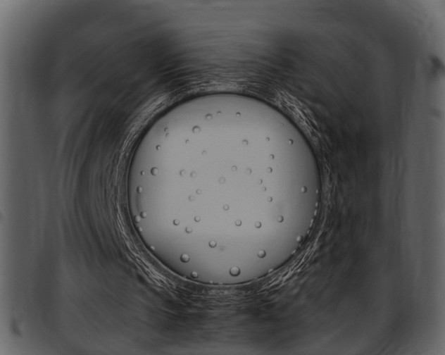 X0000097640145200802290830