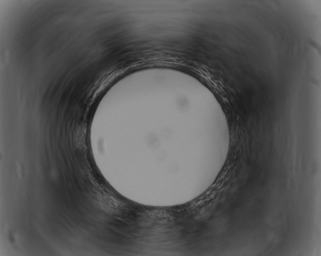 X0000097640146200802290830