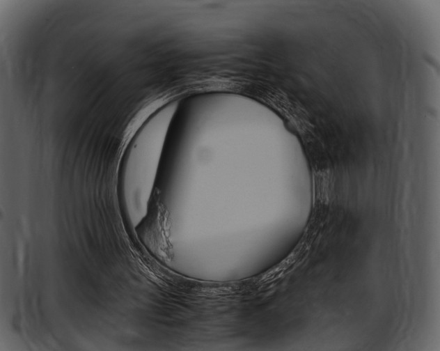 X0000097640147200802290830