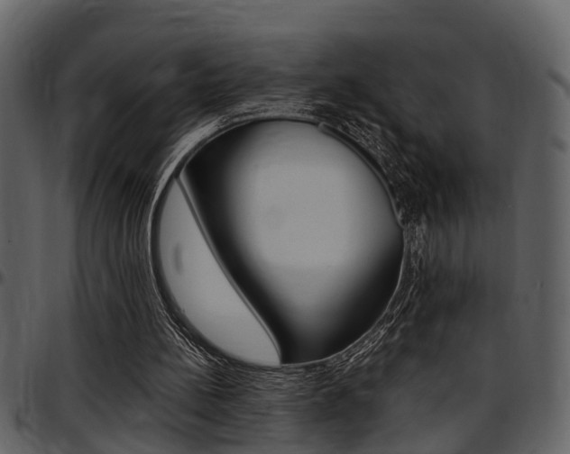 X0000097640148200802290831