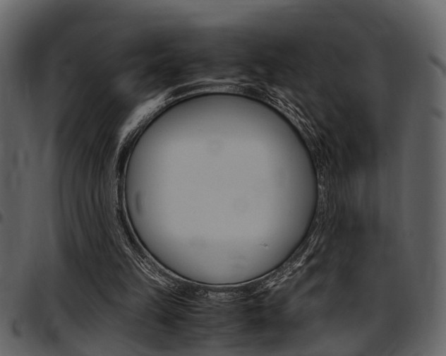 X0000097640149200802290831