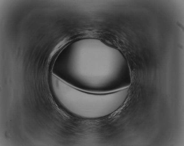 X0000097640150200802290831