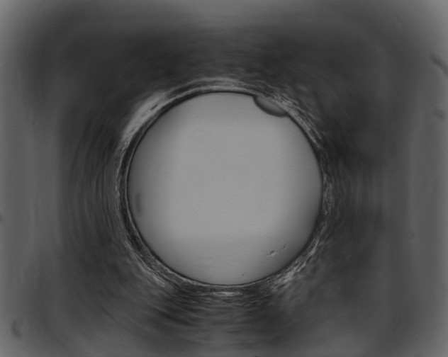 X0000097640151200802290831