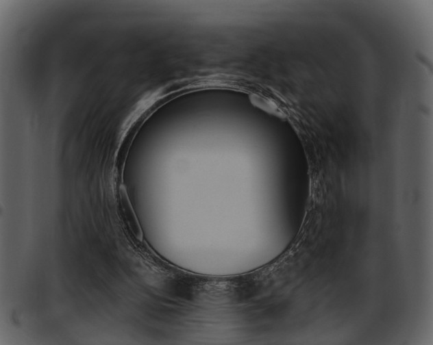 X0000097640152200802290831