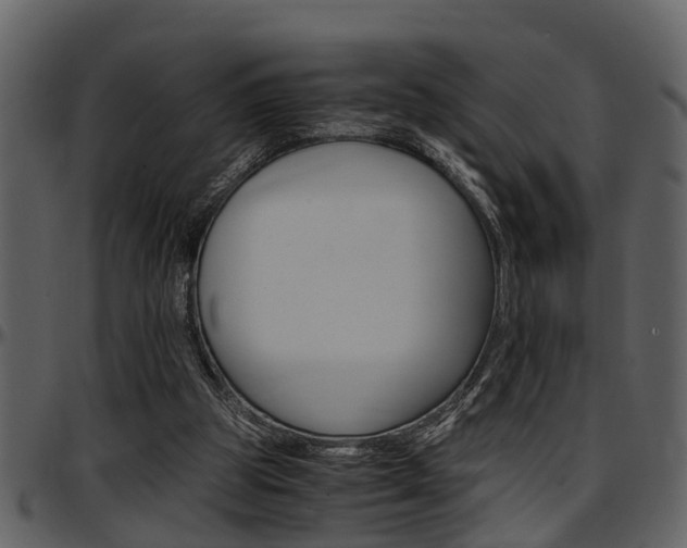 X0000097640153200802290831