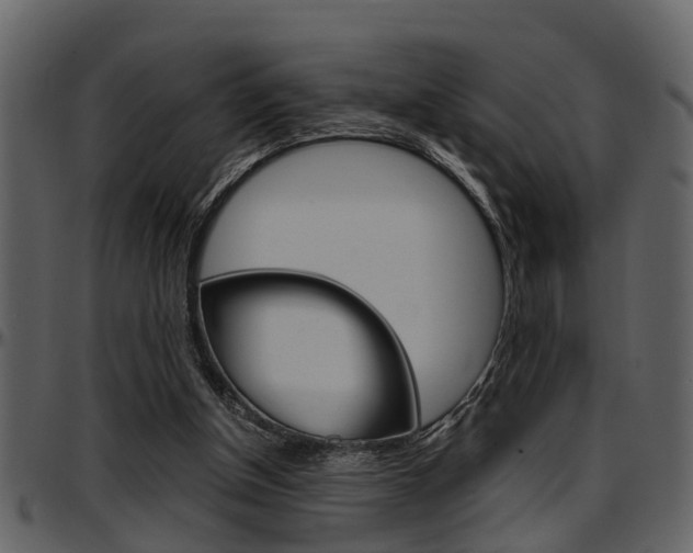 X0000097640154200802290831