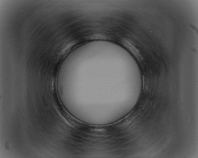 X0000097640157200802290831