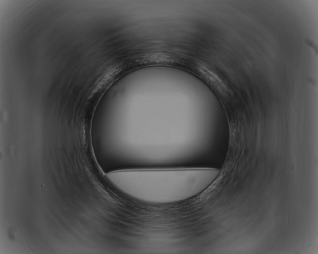 X0000097640158200802290831