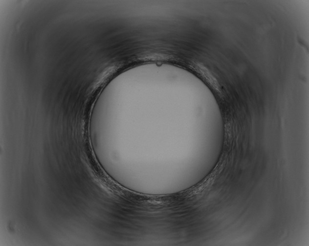 X0000097640159200802290831