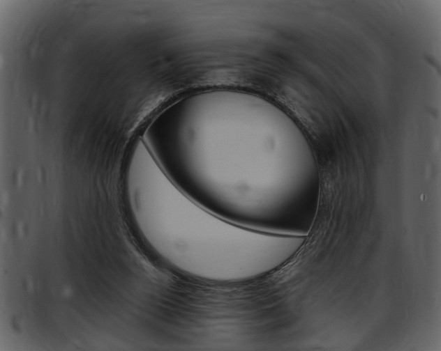 X0000097640160200802290831