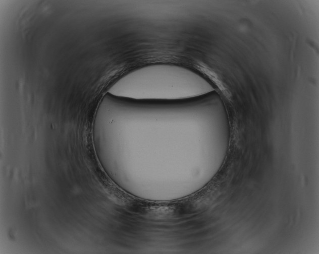 X0000097640161200802290831