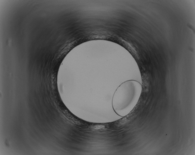 X0000097640162200802290831