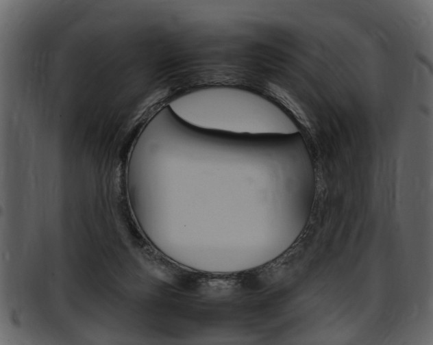 X0000097640163200802290831