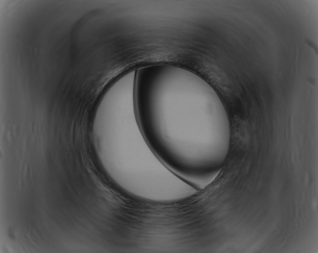 X0000097640164200802290831