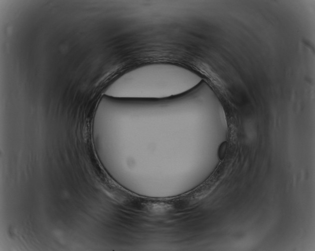 X0000097640165200802290831