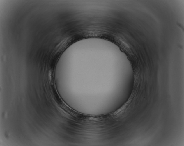 X0000097640166200802290831