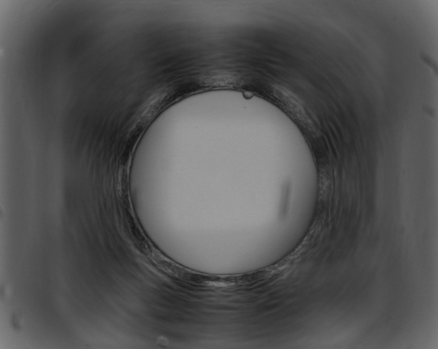 X0000097640167200802290831
