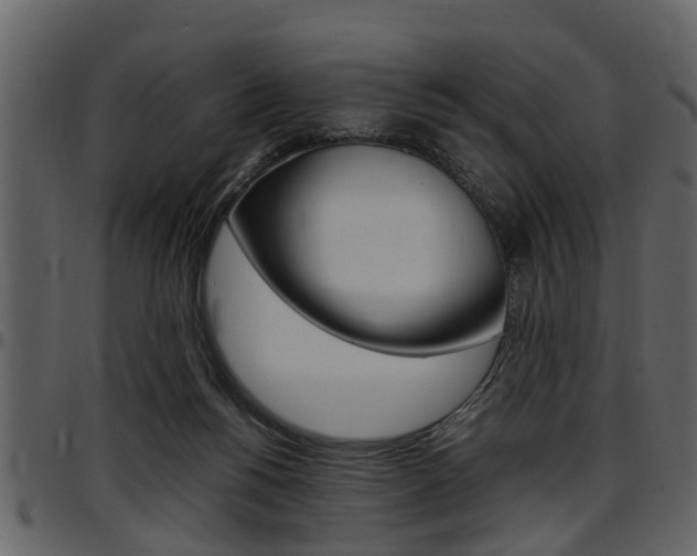 X0000097640168200802290831