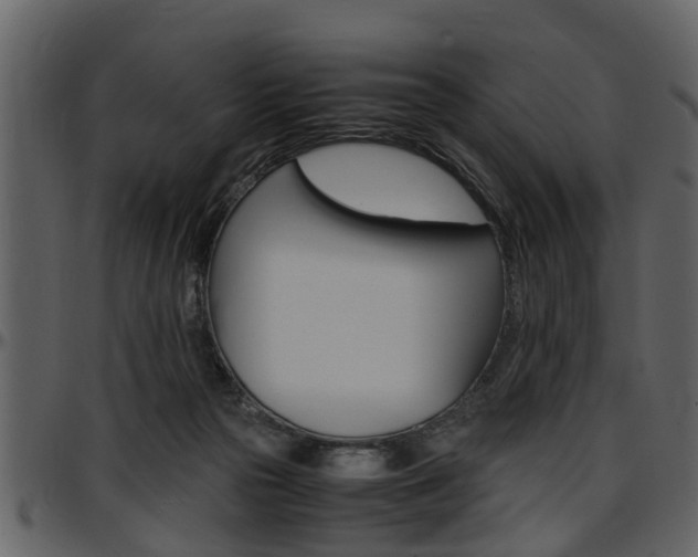 X0000097640169200802290831