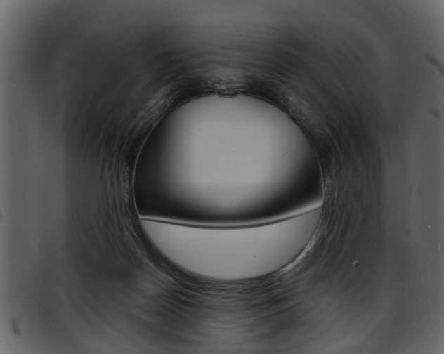 X0000097640170200802290831