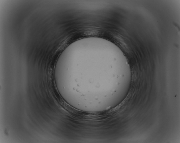 X0000097640171200802290831