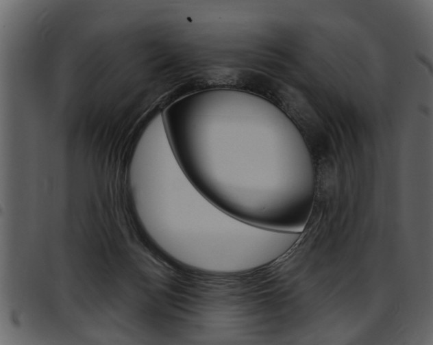 X0000097640172200802290831