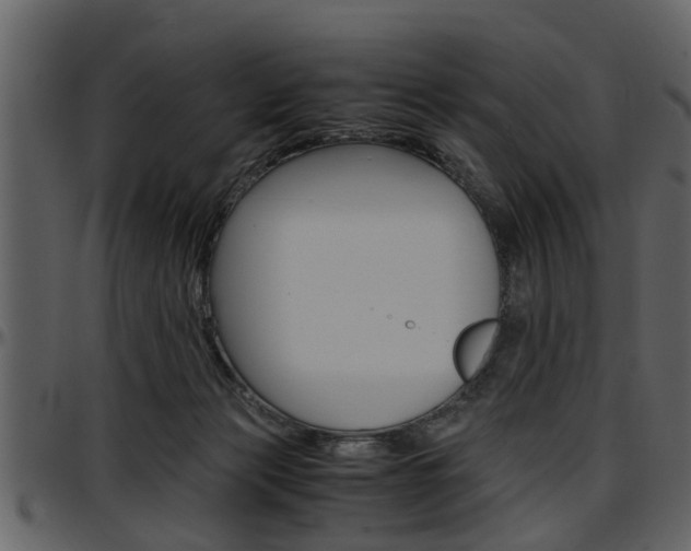 X0000097640173200802290831