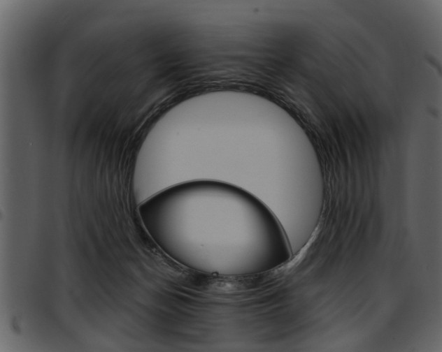 X0000097640174200802290831